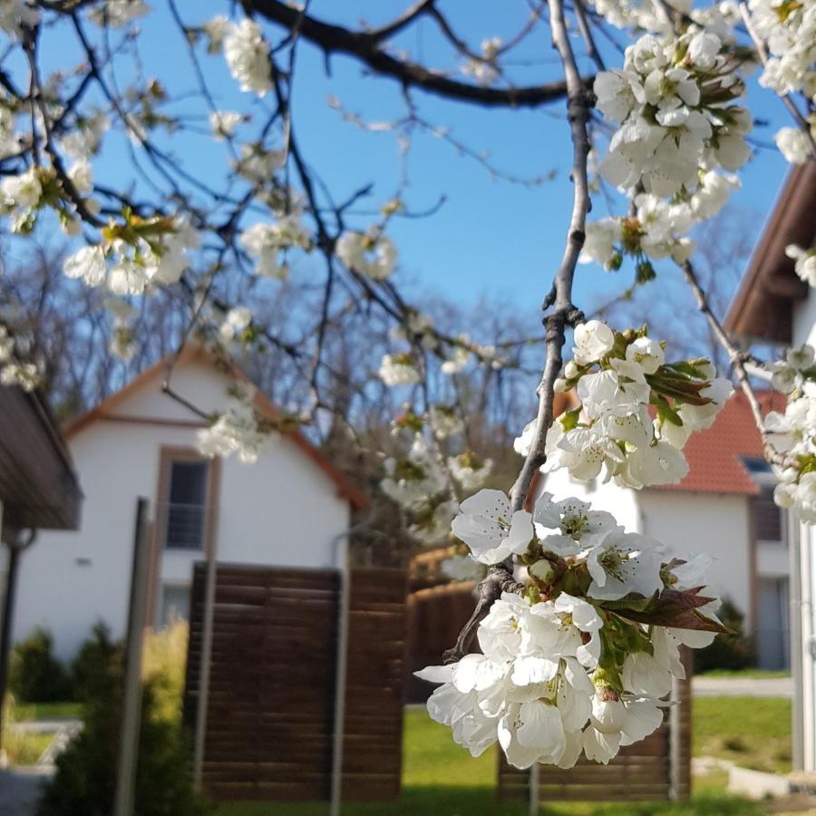 Kenese-völgye Villahotel Balatonkenese Kültér fotó